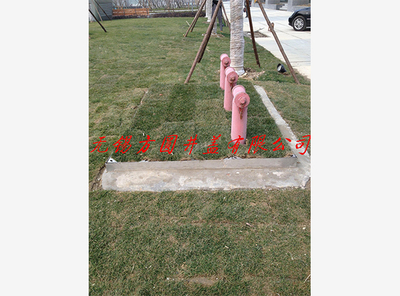 绿化消防栓效果